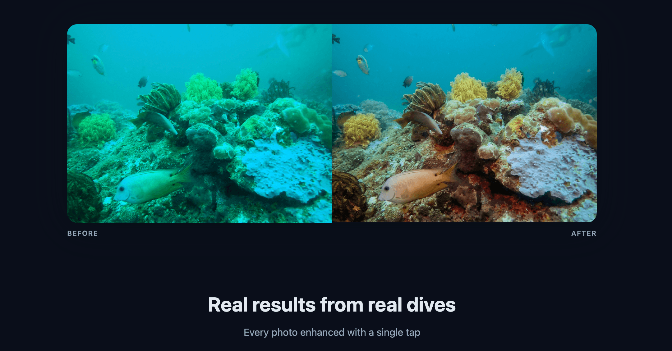 AquaEdit screenshot