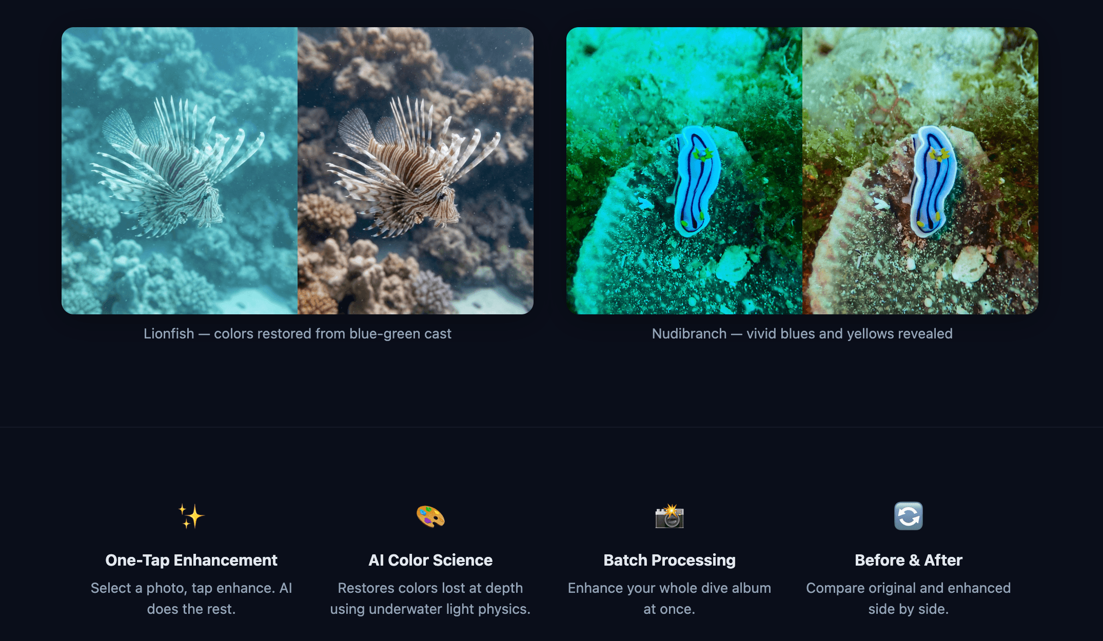 AquaEdit screenshot