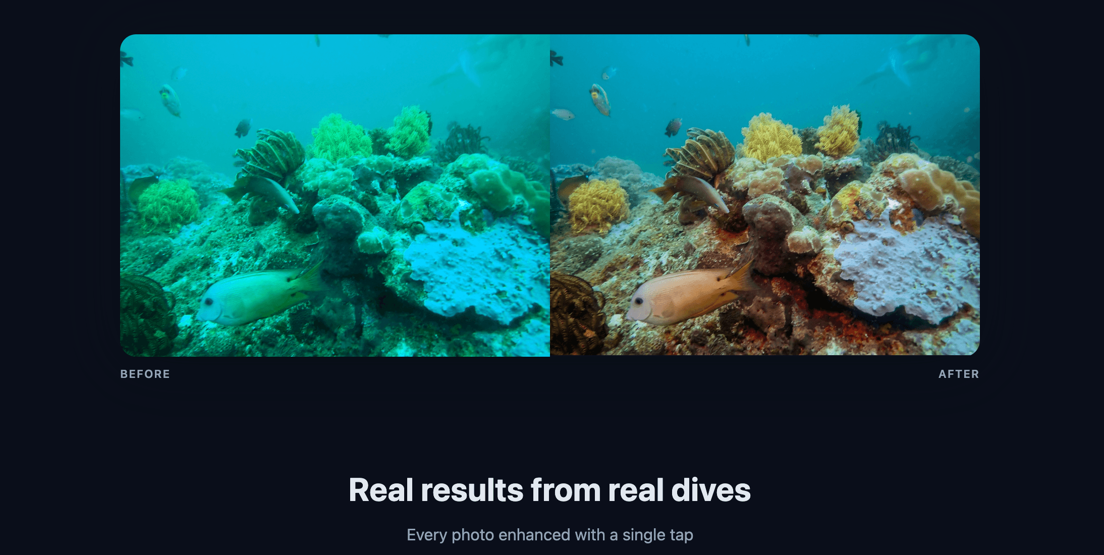 AquaEdit